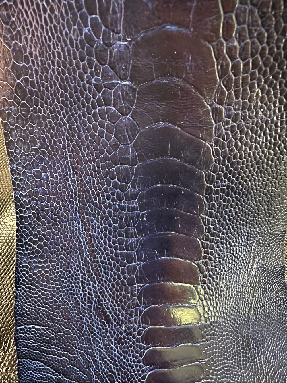 Exotic Ostrich Skin Card Holder - Picture 5 of 6